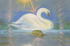 Swan & Duckling II