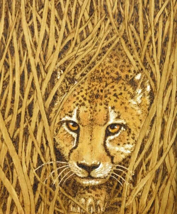 Cheetah Bechtold